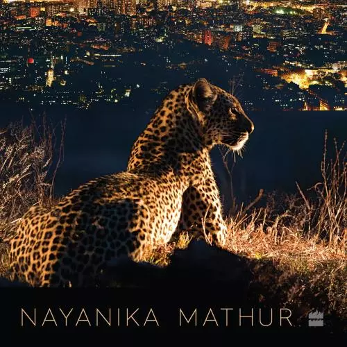 Book cover for 'Crooked Cats: Beastly Encounters in the Anthropocene' by Nayanika Mathur. The cover shows a leopard sitting down in the grass on a hill overlooking a town at night