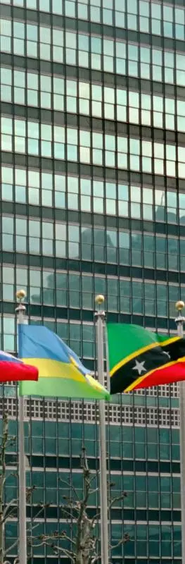 World flags on high flagpoles standing against a glass building.